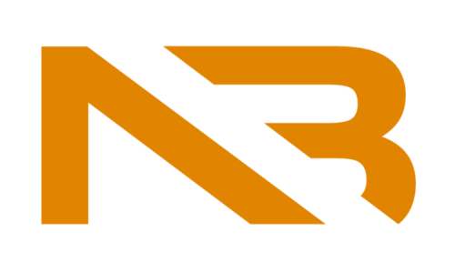 Nile Brains International Logo